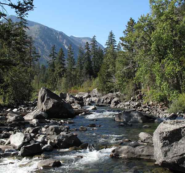 Canyon creek with boulders and evergreens